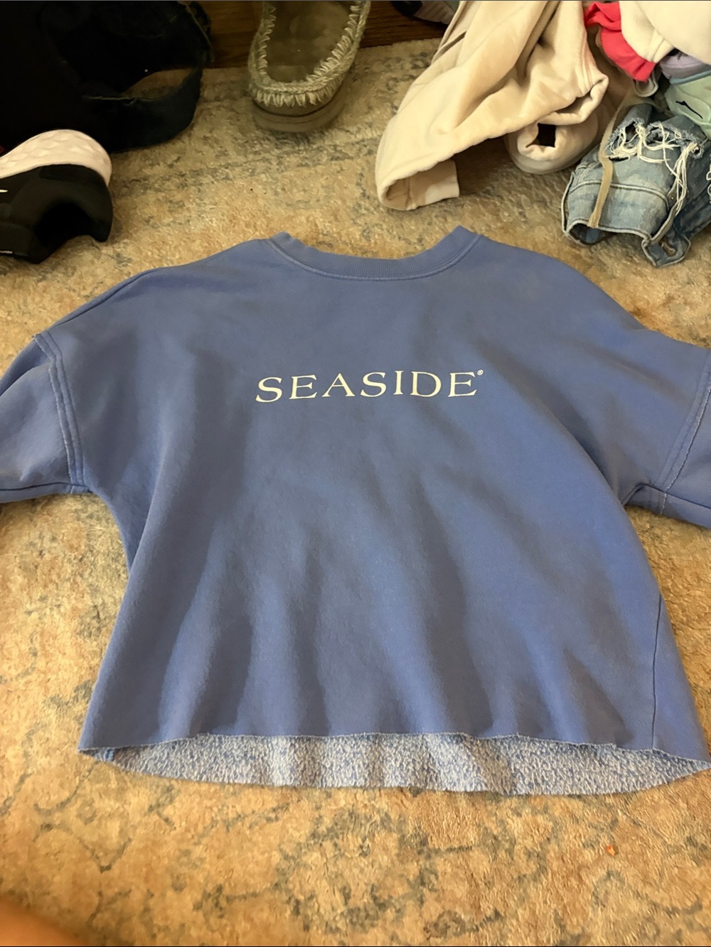 Seaside Blue Cropped Sweatshirt